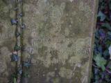 image of grave number 816531